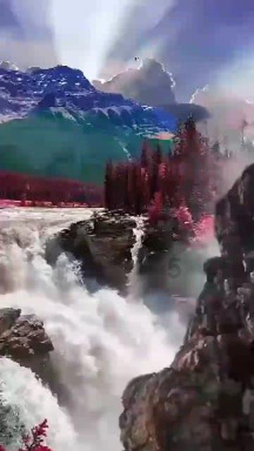 沪江开心词场
